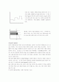 [사회과학] 정부규제론 13페이지