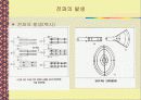 전자파와 주파수 5페이지