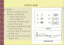 전자파와 주파수 6페이지