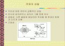 전자파와 주파수 7페이지