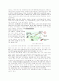 모바일에 대하여 5페이지