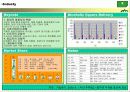 두산 산소주, 희석식 소주시장에서의 소비자행동 및 마케팅 3페이지