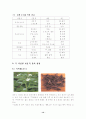 천연염색에 관하여.... 16페이지