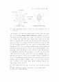 정보공간(Information) 기반한 초국적기업의 재생산전략 연구 65페이지