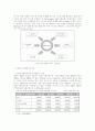 ERP/SCM 시장보고서 36페이지