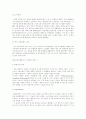 현대 자동차 EF쏘나타 성공사례분석 4페이지