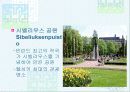 산타클로스가 사는 아름다운 호수의 나라 핀란드 13페이지