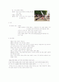 덴마크 에 대하여.. 5페이지