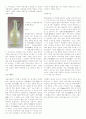 실크로드에 관한 방대한 분량... 50페이지