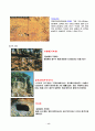 족보 경주 이씨(慶州李氏)  11페이지