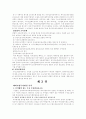 해외투자전략의 이론적 모형 5페이지