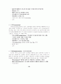 ERP 감리지침 연구 42페이지