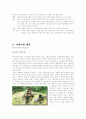 레포츠의 형태 6페이지