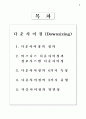 경영관리시스템-다운사이징 2페이지