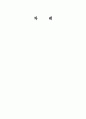운석 장면과 제2공화국이 우리에게 남긴 것은 3페이지