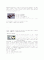 컴퓨터의 역사 정리 5페이지