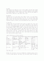 광고계획 5페이지