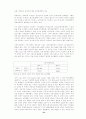 네트워크 외부성과 외부효과 내부화 전략의 경제학적 의미 21페이지