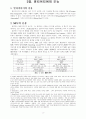 [사회과학] 멀티미디어의 미래 2페이지