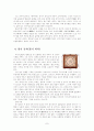 스모의 유래와 역사 7페이지