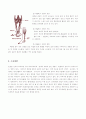 테니스운동중 발생할수 있는 스포츠 상해 4페이지