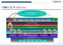 전사적 CRM 구현을 위한 전략적 접근방법 13페이지