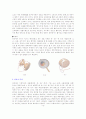 농악에 관한 정리 3페이지