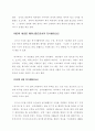 미국 소프트웨어산업 성공요인 연구 6페이지