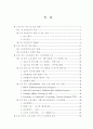 미국 소프트웨어산업 성공요인 연구 24페이지