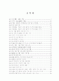 미국 소프트웨어산업 성공요인 연구 26페이지
