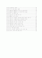 미국 소프트웨어산업 성공요인 연구 29페이지