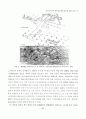 실내디자인의 신구성주의적 경향에 관한 연구 4페이지