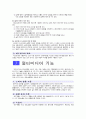 전산개론 내용정리 30페이지