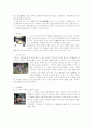 관광표지의 표준화에 관한 연구 5페이지