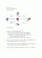 전자화폐 국내 사용 예 4페이지