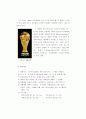 2002년 월드컵 한·일 경기장 준비과정 비교 연구 17페이지