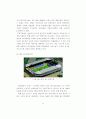 2002년 월드컵 한·일 경기장 준비과정 비교 연구 29페이지