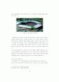 2002년 월드컵 한·일 경기장 준비과정 비교 연구 32페이지
