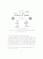 패션 비즈니스 리엔지니어링에 관한 연구 48페이지