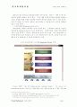 Virtual Marketing 도입과 확산 11페이지