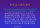 인터넷과 전자상거래 23페이지