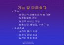 인터넷과 전자상거래 28페이지
