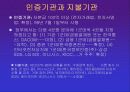 중소기업의 전자상거래 도입전략 13페이지