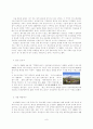 한국의 차이나타운 개발을 위하여 ( 마케팅전략 ) 8페이지