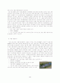 한국의 차이나타운 개발을 위하여 ( 마케팅전략 ) 9페이지