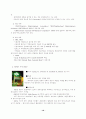 한국의 차이나타운 개발을 위하여 ( 마케팅전략 ) 11페이지