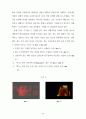 장이모우 (張藝謀)의 몽타주 美學 -붉은 수수밭(紅高粱)을 중심으로 38페이지