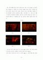 장이모우 (張藝謀)의 몽타주 美學 -붉은 수수밭(紅高粱)을 중심으로 63페이지