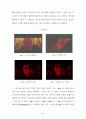 장이모우 (張藝謀)의 몽타주 美學 -붉은 수수밭(紅高粱)을 중심으로 72페이지