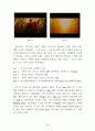 장이모우 (張藝謀)의 몽타주 美學 -붉은 수수밭(紅高粱)을 중심으로 75페이지